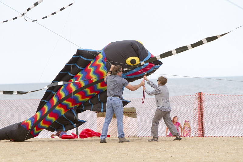 Kite Festival Virginia Beach Kite Festival Virginia Beach