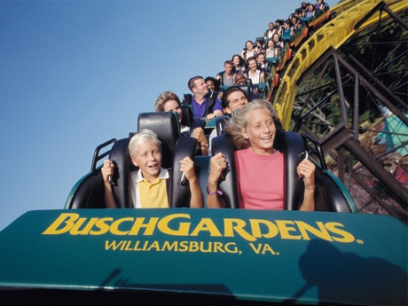 Busch Gardens Virginia Beach Va Busch Gardens