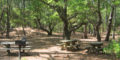 First Landing State Park