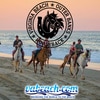 Virginia Beach Horseback