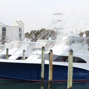 Backlash Sportfishing