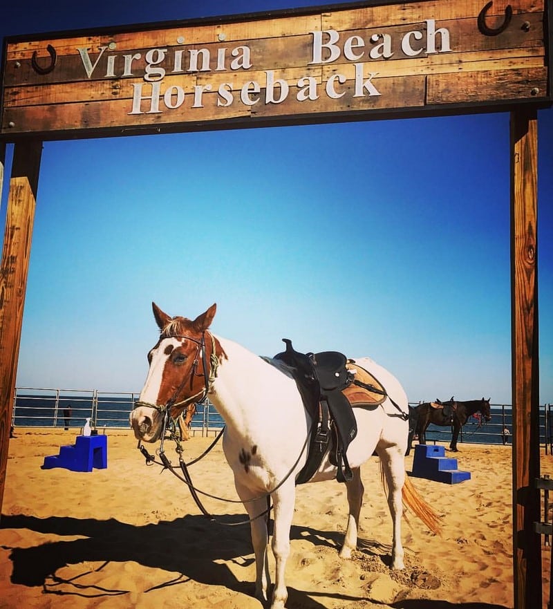 Virginia Beach Horseback Virginia Beach, VA