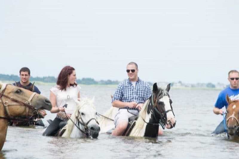 Virginia Beach Horseback Attraction Va Virginia Beach Horseback Attraction