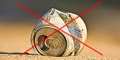 Toes in the Sand, Trash in the Can!