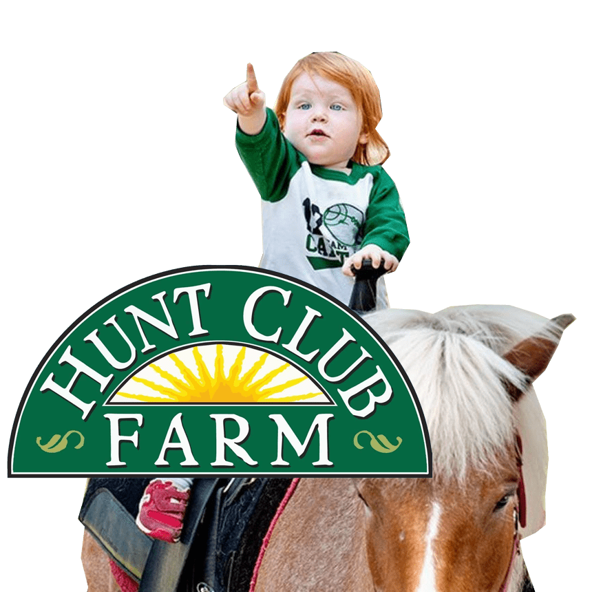 Nightlife in Virginia Beach The best local Bars and Clubs in Virginia