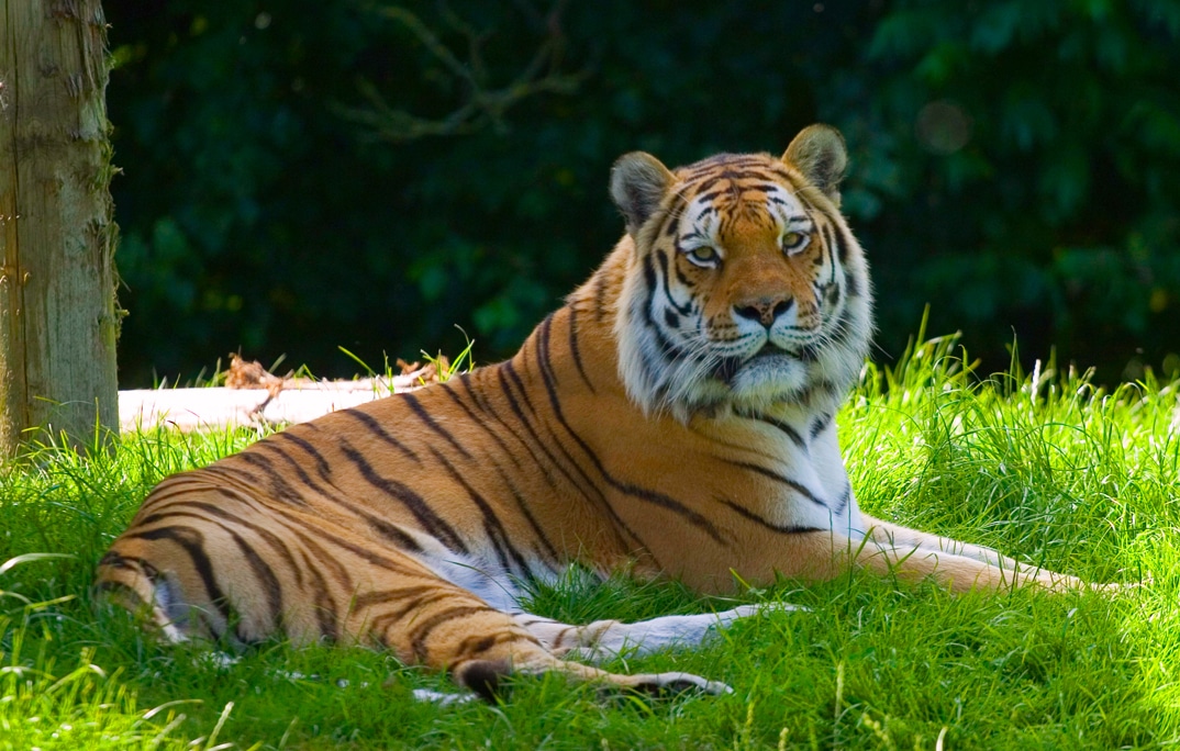 Virginia Zoo in Norfolk Virginia Beach, VA