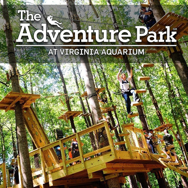 High Ropes Courses In Alabama