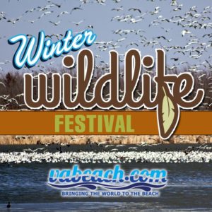Winter Wildlife Festival