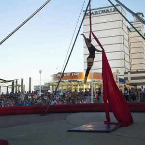 Circus in the Park Circus in the Park