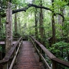 First Landing State Park