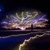 Dominion Energy Garden Of Lights Norfolk Va 23518 Dominion Energy Garden Of Lights Norfolk Va 23518