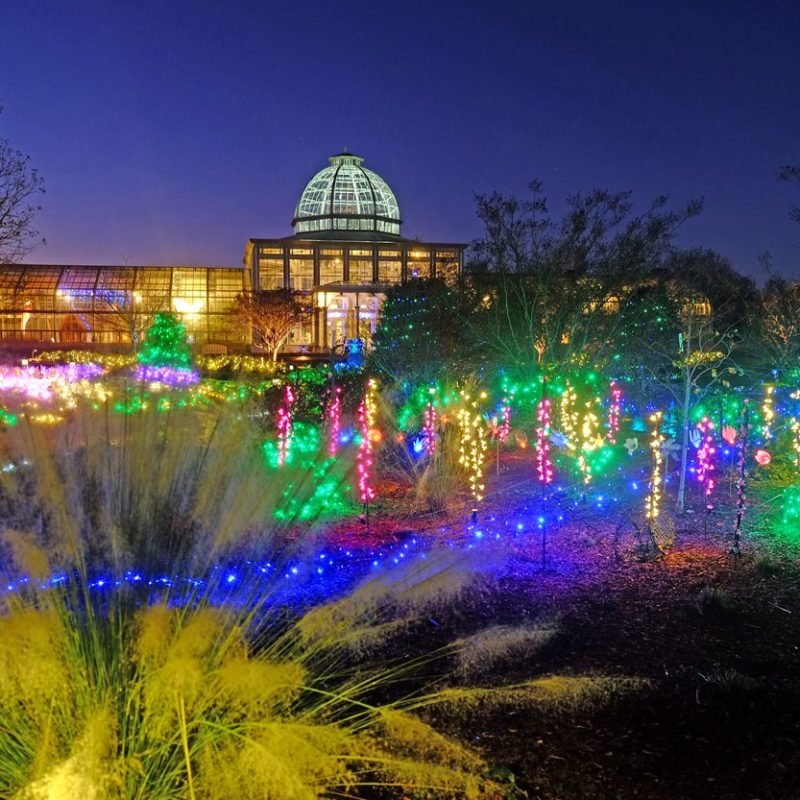 Botanical Gardens - Garden of Lights Event - Virginia Beach, VA