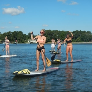 Beach Eco Tours Beach Eco Tours