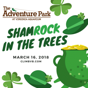 ShamROCK in the Trees: Glow in the Park