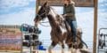 Creative Ways to Spend your Birthday in Virginia Beach