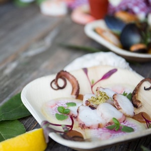 Sensible Seafood Fest
