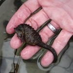 Ocean Collections Boat Trip