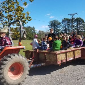 Halloween Fall Festival Weekend