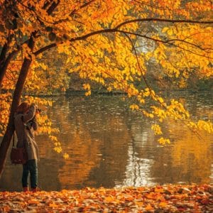 Autumn in the Forest – Forest Bathing Virginia Beach