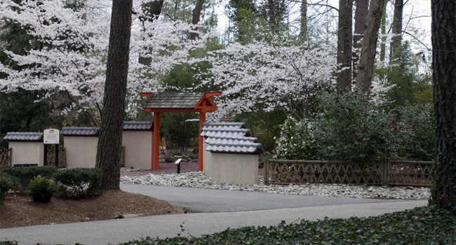 4 Things To Do in Red Wing Park - Virginia Beach, VA