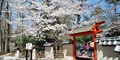 4 Things To Do in Red Wing Park