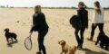 Virginia Beach Dog Guide: Everything You Need to Know About Bringing Your Dog to Virginia Beach