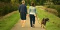 7 Tips for Having a Great Vacation With Your Dog in Virginia Beach