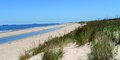 Exploring First Landing State Park – Virginia Beach seaside view of first landing state park