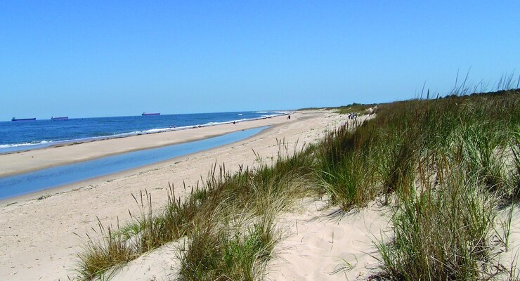seaside view of first landing state park