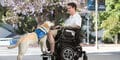 Where Are Service Dogs Not Allowed in Virginia Beach?