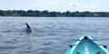 Explore Outdoor Adventures in Virginia Beach: Hiking, Biking and More