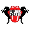 Wilder Horses-31st Street Stage / Gazebo-Jul 20, 2025