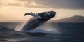 Whale Season in Virginia Beach: Why Winter Brings the Best Chances