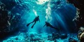 Discovering the Marine Ecosystem of Virginia Beach