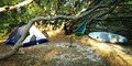How Do You Avoid Roaches at Coastal Campsites?