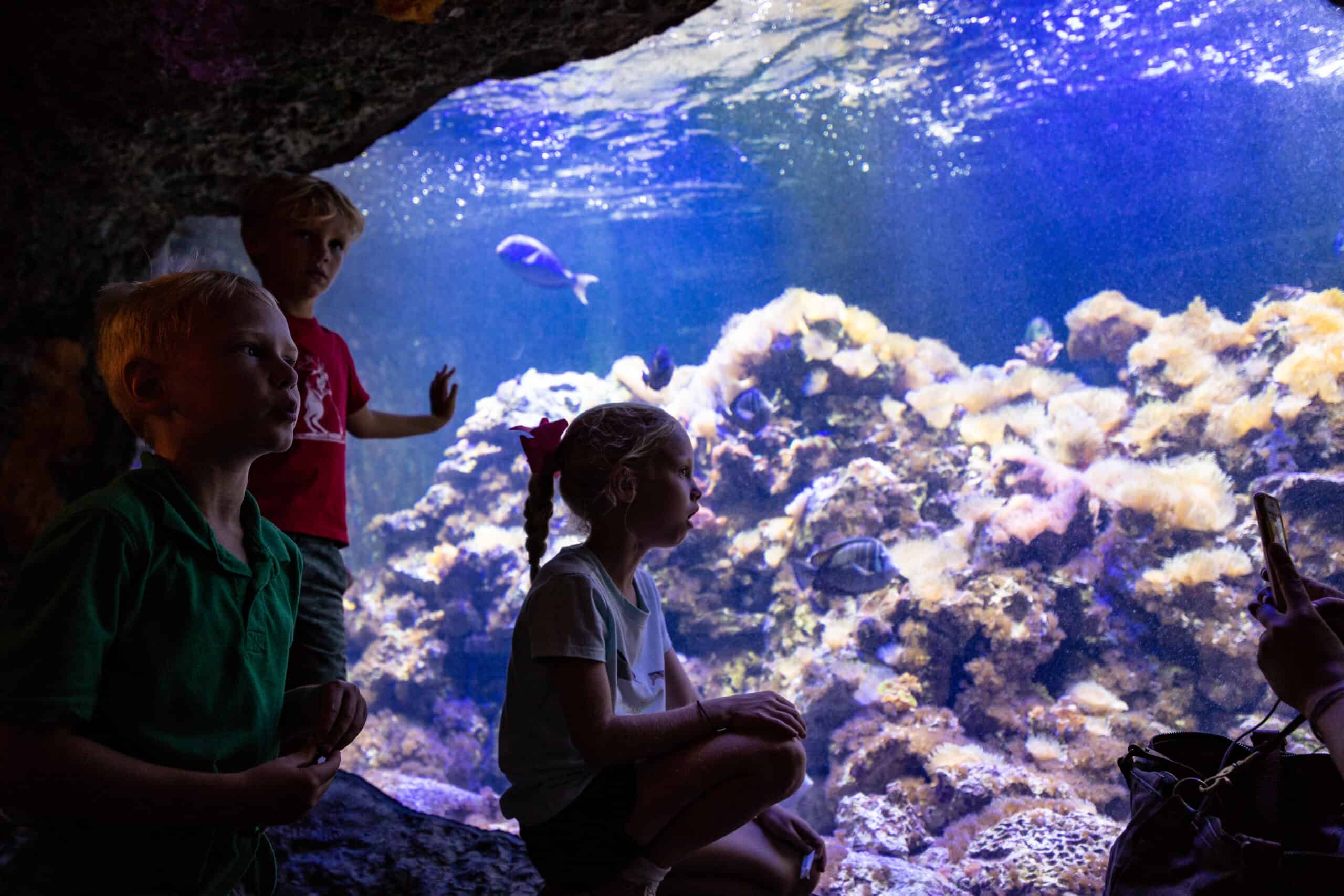 Planning A Family Trip To Virginia Beach? Top Questions Minors Must Ask
