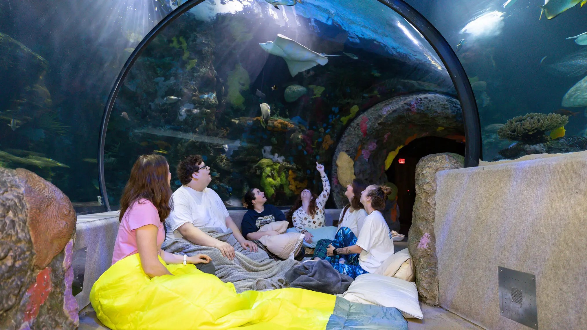 What to Do in Virginia Beach When It Rains: Indoor Activities and Evening Entertainment