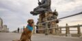 The Pet-Friendly Virginia Beach Outings More Active Families Are Planning