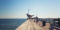 The Best Virginia Beach Gifts to Bring Home After a Weekend Trip