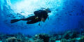 Why Cheap Travel Insurance Is a Smart Choice for Your Virginia Beach Vacation