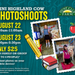 Event - Mini Highland Cow Photoshoots at Hunt Club Farm