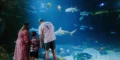 Virginia Beach in the Off-Season: A Snowbird’s Guide to the Quiet Side of the Coast