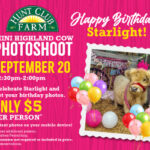 Event - Starlight’s Birthday Photoshoot at Hunt Club Farm